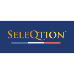 Website seleqtion logo